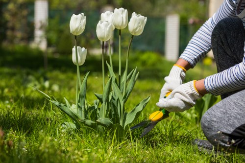 Comprehensive garden clearance services overview