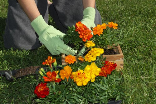 A person wearing light green gardening gloves is planting or tending to a vibrant flower bed in a garden. The flowers are in shades of red, orange, and yellow, arranged in a dense cluster, with dark green foliage surrounding them. The garden area features a well-maintained grassy lawn with a small wooden border or frame around the flower bed, indicating a landscaped outdoor space. The background shows other garden elements, possibly soil or additional plantings, with natural daylight highlighting the colours and textures of the flowers and greenery. This scene reflects outdoor gardening work typical of a residential garden in Brixton, supporting professional gardening and landscaping services.