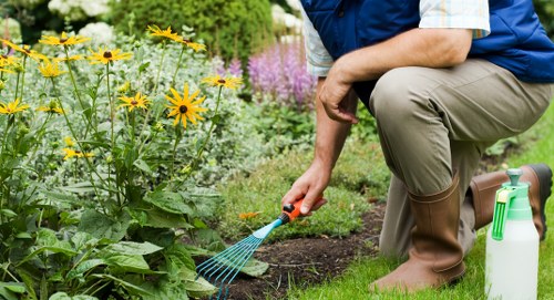 Benefits of hiring garden clearance experts