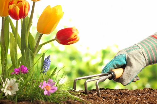 In the foreground of the outdoor garden space, there is a patch of rich, dark soil being tended to with a hand wearing a gardening glove, gripping a small hand rake for planting or loosening the earth. To the left, vibrant tulips with red and yellow petals and a cluster of smaller blooming flowers, including purple and white varieties, are growing amidst green foliage. The background features a well-maintained grassy lawn area, with a hedge or shrub boundary, and natural daylight illuminating the scene under a clear sky. This setting reflects a typical landscaped garden space in Brixton, highlighting gardening and lawn care activities that Hedge Trimming Brixton may offer as part of their services, with a focus on planting, soil preparation, and garden aesthetic enhancement.