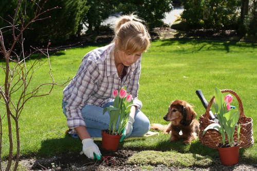 Gardener using pruning shears in a vibrant Brixton garden